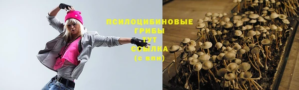 герыч Алзамай