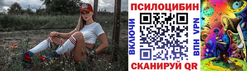 Псилоцибиновые грибы MAGIC MUSHROOMS где найти Сухиничи